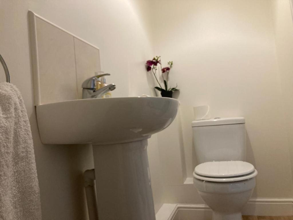 קרליסל Cosy Home Near Hospital מראה חיצוני תמונה